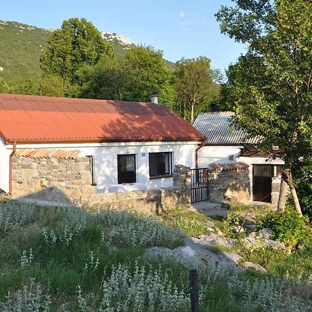 Mountain Cottage Mons Baebius Starcevica Podi Exterior photo